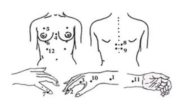 Body Points for Japanese Shiatsu Massage