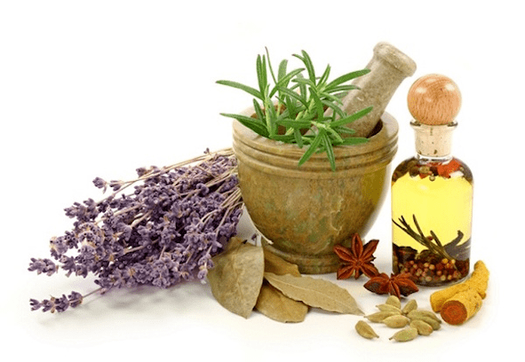 Using Herbal Breast Enlargement